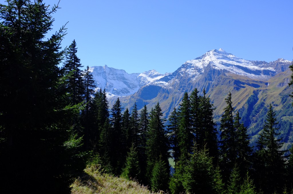 Blick auf die Goldberg Gruppe (Hohe Tauern)