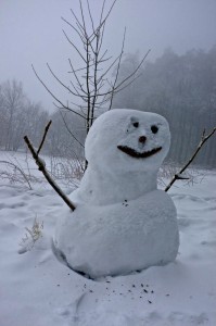 Winter 2013