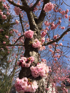 Frühling 2015