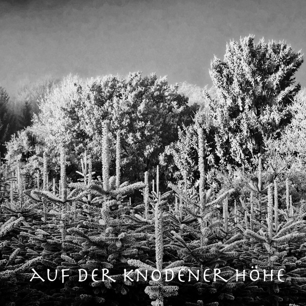 Knoden 01