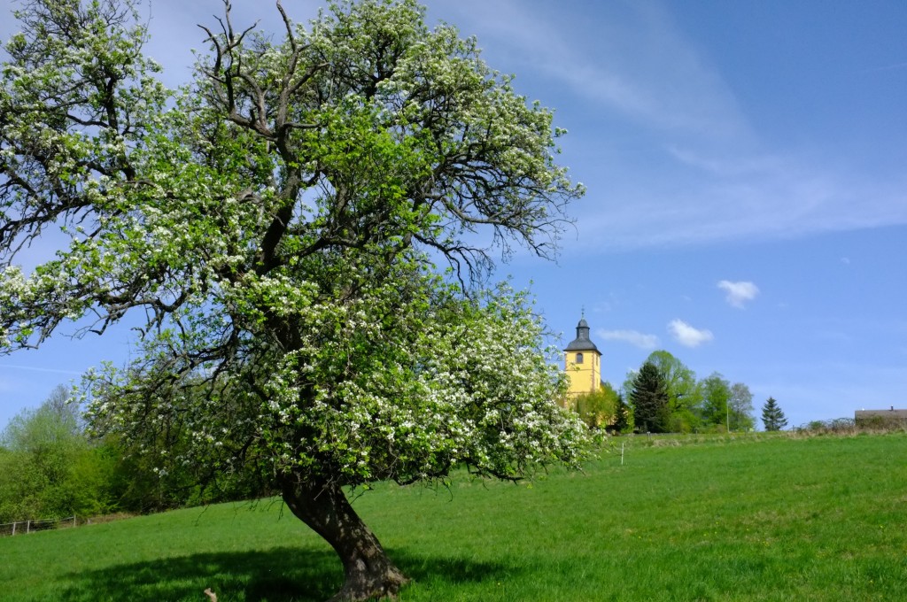 Neunk-Kirch-Baum