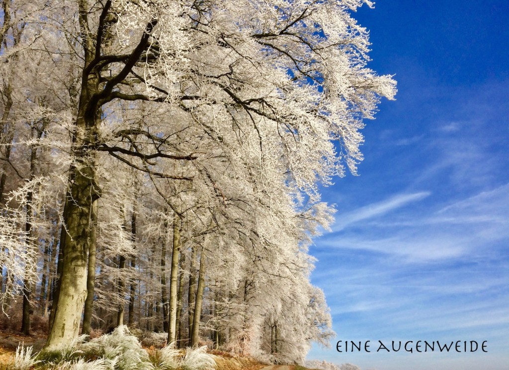 augenweide
